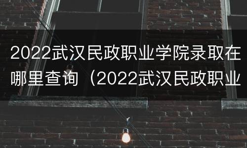 2022武汉民政职业学院录取在哪里查询（2022武汉民政职业学院录取在哪里查询啊）