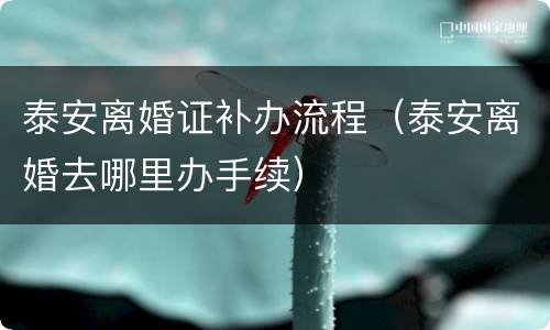 泰安离婚证补办流程（泰安离婚去哪里办手续）