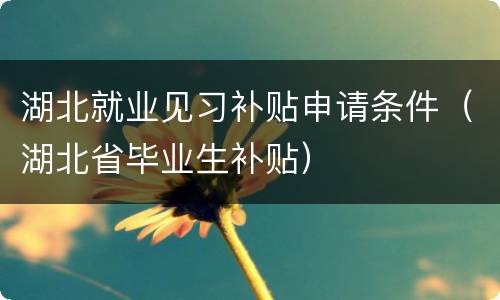 湖北就业见习补贴申请条件（湖北省毕业生补贴）