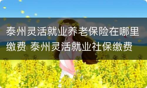 泰州灵活就业养老保险在哪里缴费 泰州灵活就业社保缴费