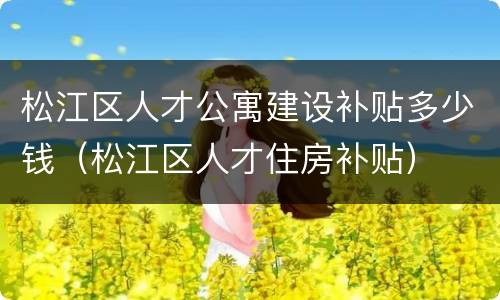 松江区人才公寓建设补贴多少钱（松江区人才住房补贴）