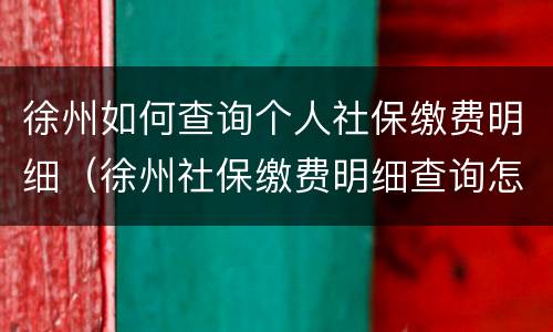 徐州如何查询个人社保缴费明细（徐州社保缴费明细查询怎么查）