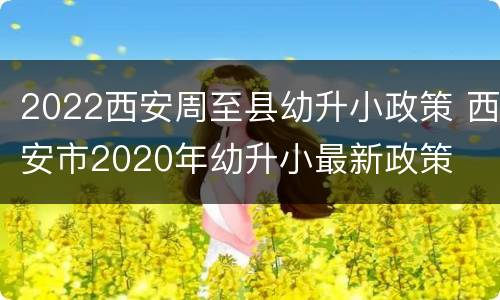2022西安周至县幼升小政策 西安市2020年幼升小最新政策