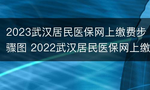 2023武汉居民医保网上缴费步骤图 2022武汉居民医保网上缴费