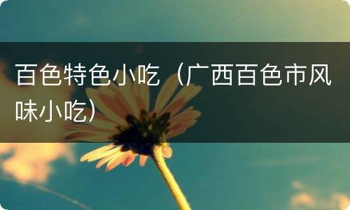百色特色小吃（广西百色市风味小吃）