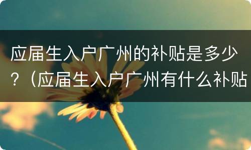 应届生入户广州的补贴是多少?（应届生入户广州有什么补贴吗）