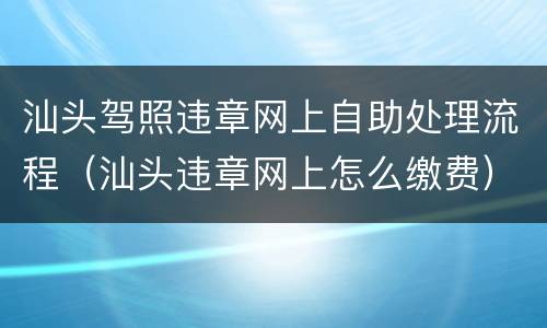 汕头驾照违章网上自助处理流程（汕头违章网上怎么缴费）