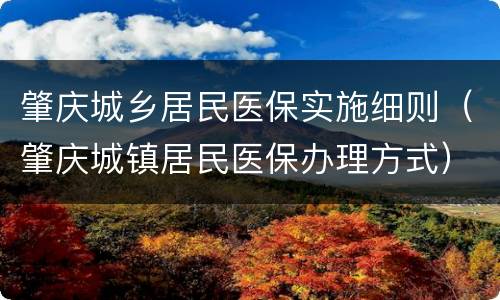 肇庆城乡居民医保实施细则（肇庆城镇居民医保办理方式）