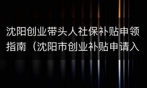 沈阳创业带头人社保补贴申领指南（沈阳市创业补贴申请入口）