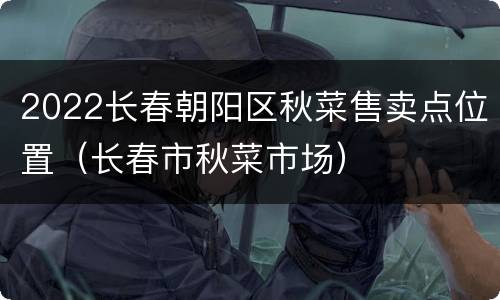 2022长春朝阳区秋菜售卖点位置（长春市秋菜市场）
