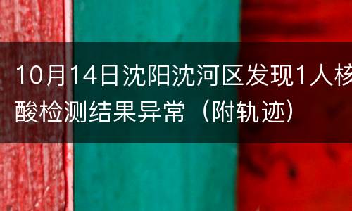 10月14日沈阳沈河区发现1人核酸检测结果异常（附轨迹）