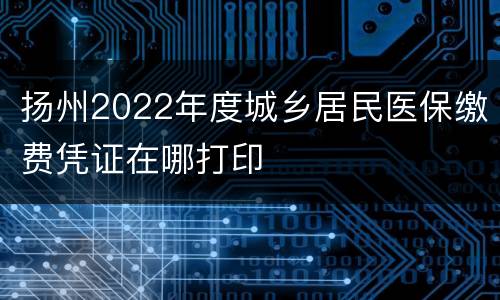 扬州2022年度城乡居民医保缴费凭证在哪打印