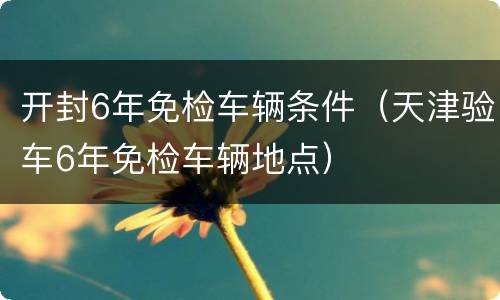 开封6年免检车辆条件（天津验车6年免检车辆地点）