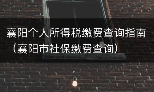 襄阳个人所得税缴费查询指南（襄阳市社保缴费查询）