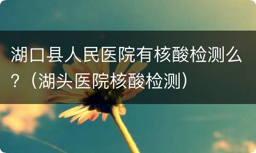 湖口县人民医院有核酸检测么?（湖头医院核酸检测）