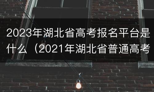 2023年湖北省高考报名平台是什么（2021年湖北省普通高考报名入口）