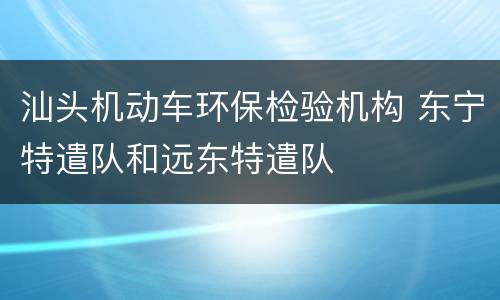 汕头机动车环保检验机构 东宁特遣队和远东特遣队