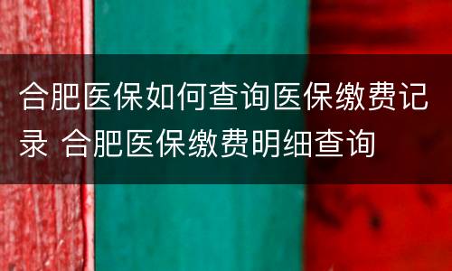 合肥医保如何查询医保缴费记录 合肥医保缴费明细查询