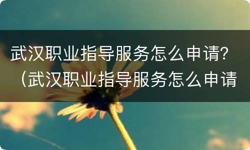 武汉职业指导服务怎么申请？（武汉职业指导服务怎么申请退费）