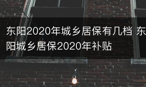 东阳2020年城乡居保有几档 东阳城乡居保2020年补贴