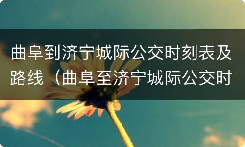 曲阜到济宁城际公交时刻表及路线（曲阜至济宁城际公交时刻表）
