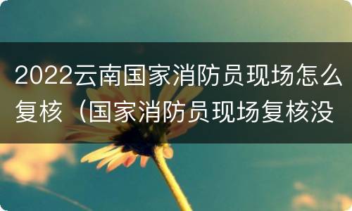 2022云南国家消防员现场怎么复核（国家消防员现场复核没去）