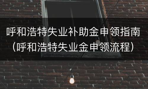 呼和浩特失业补助金申领指南（呼和浩特失业金申领流程）