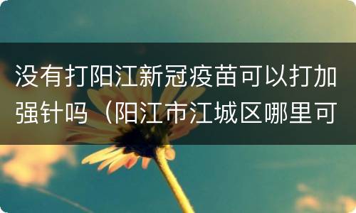 没有打阳江新冠疫苗可以打加强针吗（阳江市江城区哪里可以打新冠疫苗）