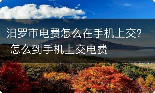 汨罗市电费怎么在手机上交？ 怎么到手机上交电费