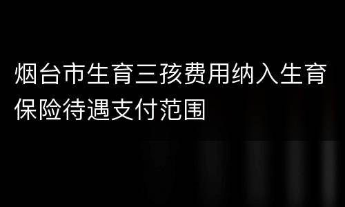 烟台市生育三孩费用纳入生育保险待遇支付范围
