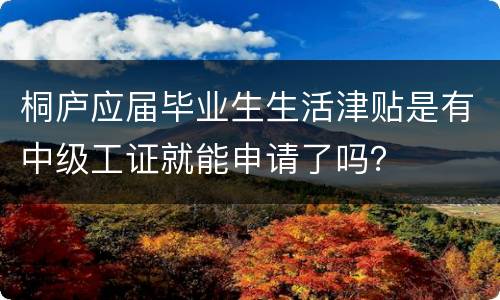 桐庐应届毕业生生活津贴是有中级工证就能申请了吗？