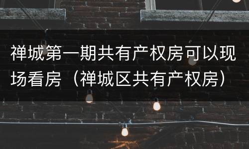 禅城第一期共有产权房可以现场看房（禅城区共有产权房）