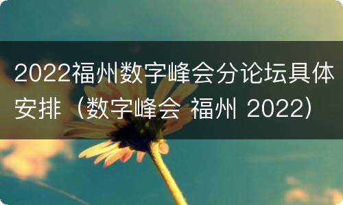 2022福州数字峰会分论坛具体安排（数字峰会 福州 2022）