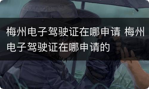 梅州电子驾驶证在哪申请 梅州电子驾驶证在哪申请的