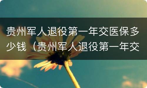 贵州军人退役第一年交医保多少钱（贵州军人退役第一年交医保多少钱一个月）