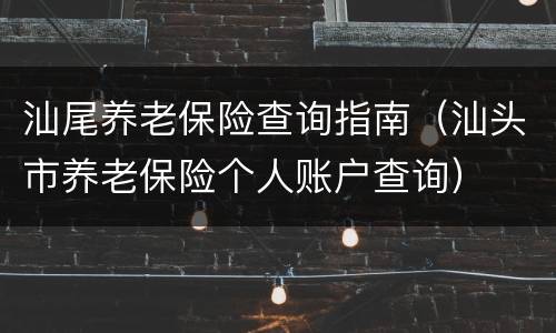汕尾养老保险查询指南（汕头市养老保险个人账户查询）
