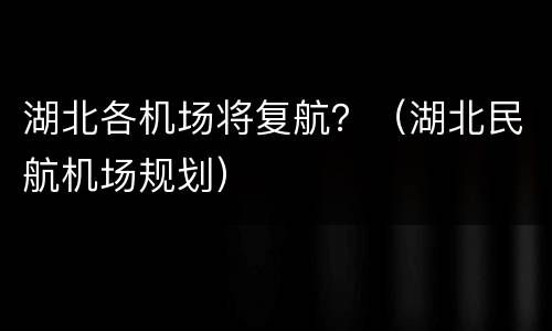 湖北各机场将复航？（湖北民航机场规划）