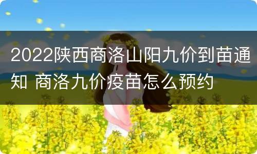 2022陕西商洛山阳九价到苗通知 商洛九价疫苗怎么预约