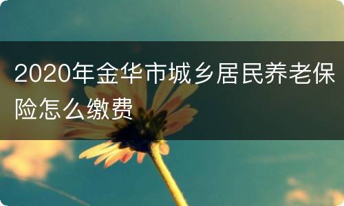 2020年金华市城乡居民养老保险怎么缴费