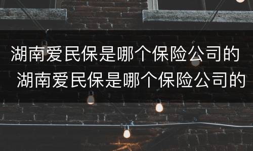 湖南爱民保是哪个保险公司的 湖南爱民保是哪个保险公司的保单