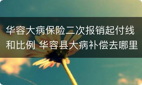 华容大病保险二次报销起付线和比例 华容县大病补偿去哪里办理