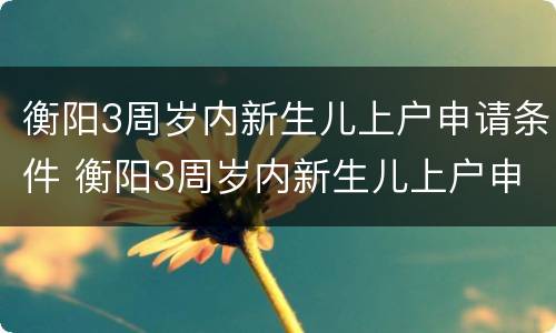 衡阳3周岁内新生儿上户申请条件 衡阳3周岁内新生儿上户申请条件