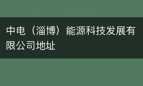 中电（淄博）能源科技发展有限公司地址
