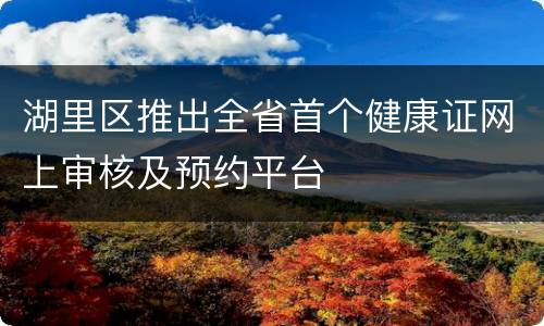 湖里区推出全省首个健康证网上审核及预约平台