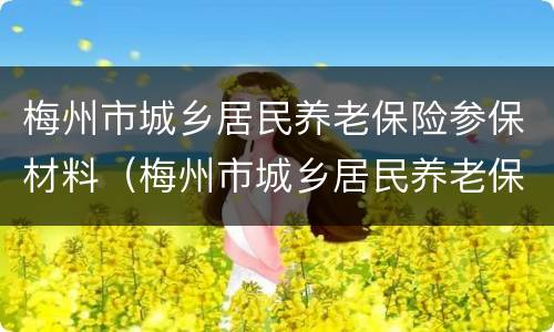 梅州市城乡居民养老保险参保材料（梅州市城乡居民养老保险参保材料有哪些）