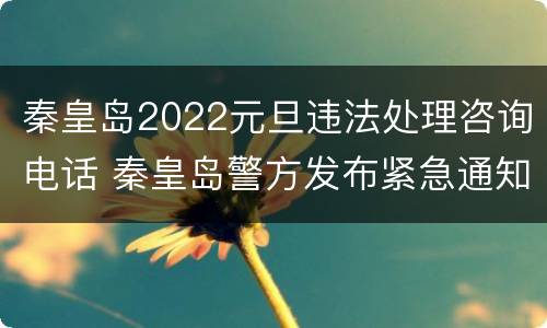 秦皇岛2022元旦违法处理咨询电话 秦皇岛警方发布紧急通知