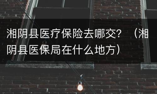 湘阴县医疗保险去哪交？（湘阴县医保局在什么地方）