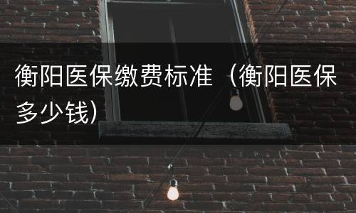 衡阳医保缴费标准（衡阳医保多少钱）