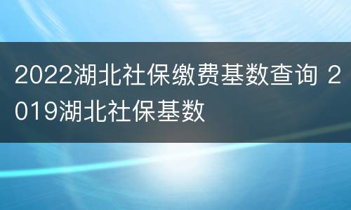 2022湖北社保缴费基数查询 2019湖北社保基数