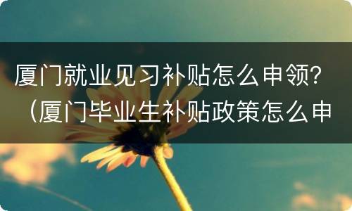 厦门就业见习补贴怎么申领？（厦门毕业生补贴政策怎么申请）